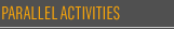 PARALLEL ACTIVITIES
