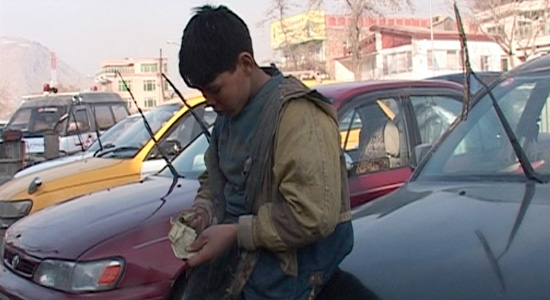 Bulbul, The City Bird