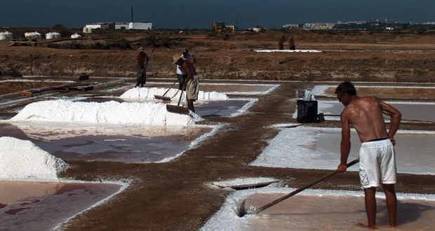 Como as Serras Crescem