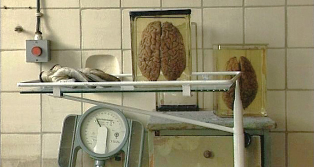 Madman&lsquo;s Dictionary