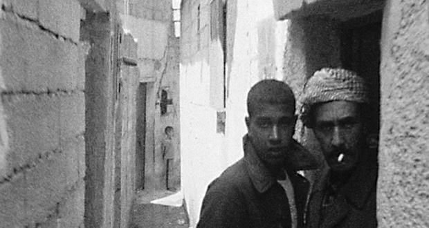 Les Oiseaux d&rsquo;Arabie - Fragments d&rsquo;une Correspondence